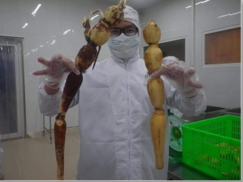 z5260317676924_2e746f8900a48a9af1d16bf138273093