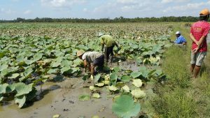 z5260318563486_ff9f266b8de218a9b89980a5a94e4a34