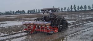 z5260344323321_8e0ab30fc00a3e7860801f90fd06d53d