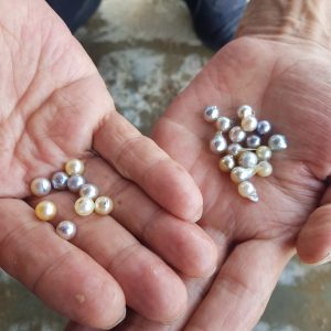 z5260354870849_0e5f3cd57346b49c00ba0f04e9d4d940