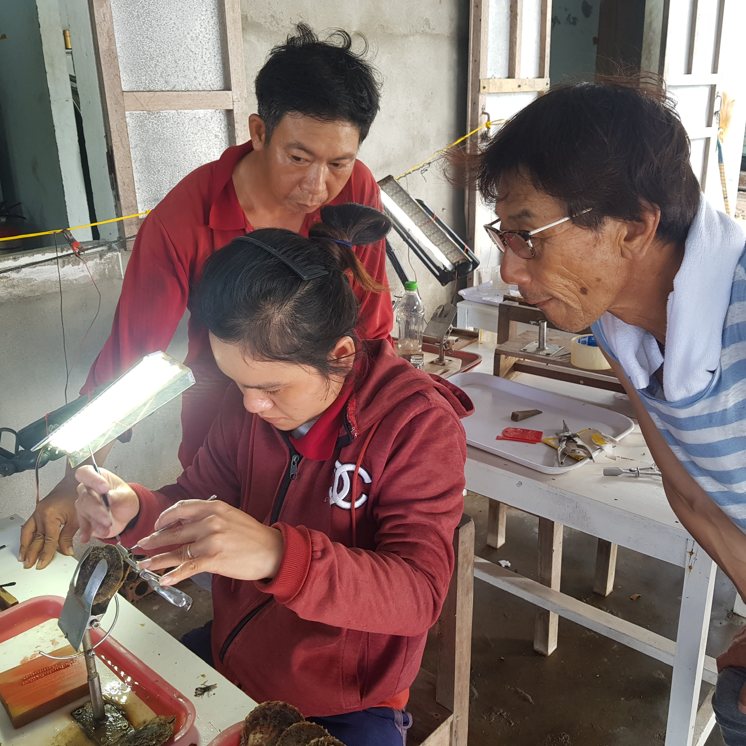 z5260355546350_e34abc8eab6c40b7516fea2a610e1f5c