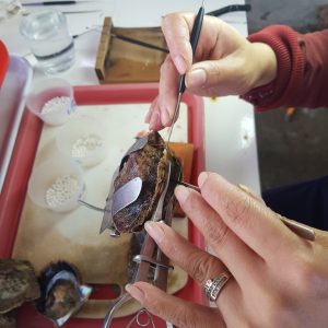 z5260355741914_b8fb9115e1bcfcc4f515a989fea98465