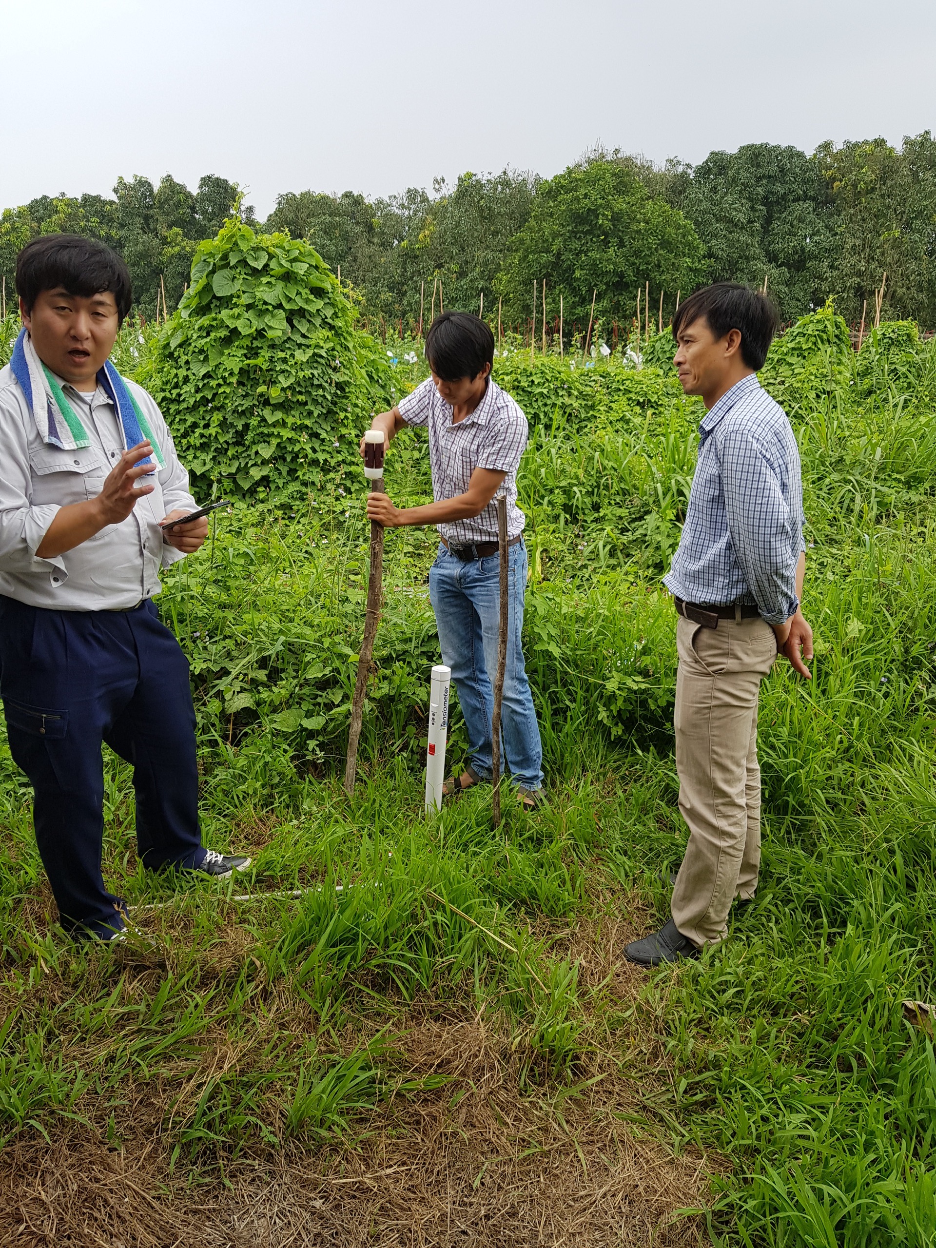 z5260361698521_1a3f3c0cf9f3a4b8d567d9ef7497a26a